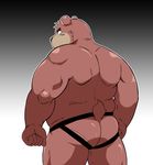  bear biceps butt chubby clothing jockstrap looking_back male mammal musclegut muscles shiba-kenta solo standing underwear 