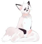  anthro balls beauty_mark canid canine clothing collar erection fox fur grey_fur holding_penis humanoid_penis legwear looking_at_viewer male mammal nipples penis pink_nose presenting presenting_penis simple_background solo stockings white_fur zamzi 