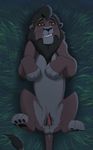  balls disney erection feline feral kovu lion male mammal nude penis smile solo the_lion_king zica 