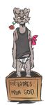  alpha_channel canine clothing cute female flower humor male mammal midriff plain_background rose shirt skinny solo straight tank_top transparent_background underwear 