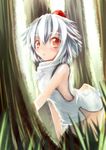  animal_ears blush hat highres inubashiri_momiji looking_at_viewer natui nature open_mouth pom_pom_(clothes) red_eyes short_hair silver_hair solo tokin_hat touhou tree wolf_ears 