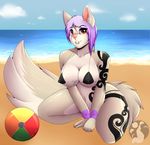  beach breasts canine female fluffy_tail looking_at_viewer lunarii mammal seaside smile solo swimsuit tattoo x-leon-x 