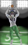 anthro anthrofied catch equine field football hair horse lovingwolf mammal my_little_pony original_character pony 