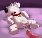  after_sex anal anus balls blush brian_griffin canine cum dibs dog family_guy gay lying male mammal penis sex sweat tongue tongue_out 