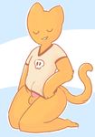  anthro balls bottomless cat catboots clothing covering erection feline girly kneeling male mammal partially_clothed penis shirt solo 