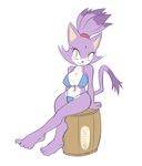  barrel big_breasts bikini blaze_the_cat breasts cat feline female looking_at_viewer mammal sega solo sonic_(series) swimsuit unknown_artist wide_hips yellow_eyes 