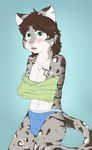  blush cat cat_(character) clothing feline hair long_hair male mammal plain_background poulet-7 shy underwear undressing 