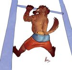  boxer_shorts boxers clothing excercise gym gym_shorts hyena mammal muscles negger pull sagger sagging shorts underwear ups 
