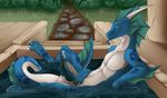  2014 anthro balls bath blue_scales blue_tongue dragon erection frills genital_slit horn kirydos knot looking_at_viewer male naoma-hiru penis precum presenting reclining saliva scalie seductive slit smile solo spines tongue tongue_out water webbed_feet webbed_hands white_belly 