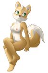  5_fingers 5_toes absurd_res anthro areola barefoot breasts brown_fur brown_nose canine crossgender derpah female fox fox_mccloud fur green_eyes hi_res looking_at_viewer mammal nintendo nipples nude plain_background shaded signature sitting star_fox toes video_games white_background 