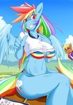  2014 anthro anthrofied blue_eyes bra cleavage clipboard clothed clothing cutie_mark earth_pony equine female friendship_is_magic hair horse mammal mleonheart ms_harshwhinny_(mlp) multi-colored_hair my_little_pony panties peace_sign pony purple_eyes rainbow_dash_(mlp) rainbow_hair scarf shirt underwear 