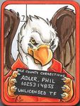  2014 angry arrested avian bald_eagle bird eagle flinters male pheagle prison 