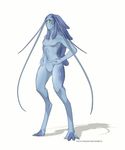  131 alien blue_skin female protoss revenantnoir solo standing starcraft 