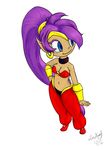  blue_eyes choker cleavage clothed clothing ear_piercing female genie hair navel piercing ponytail purple_hair shantae shantae_(series) solo zenaku9000 