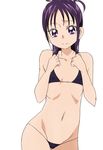  bare_shoulders bikini collarbone covered_nipples flat_chest futari_wa_precure_splash_star long_hair manji_(tenketsu) micro_bikini mishou_mai navel precure purple_eyes purple_hair smile solo swimsuit 