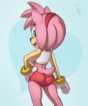  2014 amy_rose anthro boy_shorts breasts camel_toe clothing fur green_eyes hair headband hedgehog invalid_tag looking_back male mammal open_mouth pink_fur pink_hair presenting sega shirt smile sonic_(series) teasing teeth the_other_half tongue under_boob underwear 
