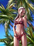  1girl beach bikini braid breasts claymore erect_nipples erection foreskin futanari h1kar1ko middle_finger nail_polish navel ocean ophelia outdoors penis pointy_ears sea silver_hair small_breasts solo standing swimsuit tree uncensored 