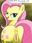  abstract_background anus back_turned bedroom_eyes blue_eyes clitoris cutie_mark equine female fluttershy_(mlp) friendship_is_magic fur hair hi_res hooves horse long_hair looking_at_viewer looking_back mammal my_little_pony pink_hair pony presenting pussy raised_tail smile solo text tomtornados yellow_fur 
