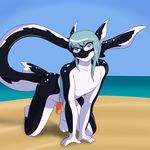  absurd_res all_fours anthro black_body blue_eyes blue_hair cainesart cetacean erection hair hi_res long_hair long_tail looking_at_viewer male mammal marine nude orca pearls penis pose sand seaside trap water whale 