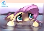  2014 equine female feral fluttershy_(mlp) friendship_is_magic gsphere hair horse mammal my_little_pony outside pony solo water wet 