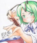  antennae blush bug green_hair short_hair smile sokutenkun solo touhou wriggle_nightbug 