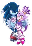  blaze_the_cat blush cat feline hedgehog mammal sega sonic_(series) sonic_the_hedgehog sonic_the_werehog tagme 