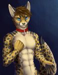  abs az blue_eyes brown_fur brown_hair cheetah collar coyrin feline fur hair male mammal muscles pecs solo spots tan_fur toned 