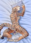  2014 alma_aurora bed breasts eyes_closed feline female lying mammal masturbation nude on_front pillow pussy_juice raised_tail side_boob solo spread_legs spreading tiger 