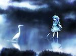  animal backpack bad_id bad_pixiv_id bag bird blue blue_eyes blue_hair branch cabbie_hat cattail crane_(animal) dress fog frilled_skirt frills fuonon hair_bobbles hair_ornament hat highres kawashiro_nitori key long_sleeves looking_at_another nature plant pocket pond reflection scenery short_hair short_twintails skirt skirt_set solo standing stork touhou twintails two_side_up wading water 
