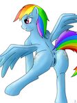  007delta anus butt equine friendship_is_magic horse mammal my_little_pony plain_background pony presenting presenting_hindquarters pussy rainbow_dash_(mlp) smile smirk 