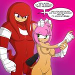  amy_rose anthro balls bandage black_penis breasts dialog duo echidna erection female fur green_eyes hand_on_head hand_wraps hedgehog imminent_sex knuckles_the_echidna looking_back looking_down male mammal marik_azemus34 muscles navel nipples nude pecs penis pink_fur purple_eyes red_fur sega size_difference smile sonic_(series) sonic_boom tan_skin teeth text 