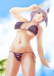  1girl ayane_(doa) bikini breasts dead_or_alive keito_fujihara large_breasts purple_hair short_hair smile solo swimsuit tecmo 