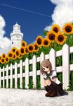  brown_hair crossed_arms day fence flower kneehighs lighthouse original outdoors school_uniform serafuku short_hair smile socks solo squatting sunflower tozaki_makoto 