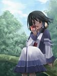  4575 animal_ears apple aruruw black_hair brown_eyes dog_ears eating food fruit in_tree sitting solo tree utawareru_mono 