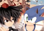  black_hair brown_eyes crossover furry gloves green_eyes hat mieharu power_connection pyonta shameimaru_aya short_hair smirk sonic sonic_the_hedgehog tokin_hat touhou 