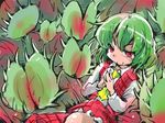  ascot green_hair kazami_yuuka plaid plaid_skirt plaid_vest plant red_eyes shinapuu short_hair sketch skirt skirt_set smile solo touhou venus_flytrap vest 