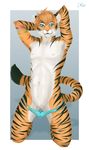  2014 anthro body_markings cuntboy feline intersex mammal markings nude pose pussy solo tiger ty_hanson vampi wet 