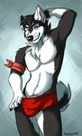  2014 anthro canine flynx-flink fur hair looking_at_viewer male mammal muscles sequitor smile solo wolf 