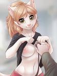  &lt;3 anthro breasts cat clothing cute disembodied_hand faceless_male feline female first_person_view iskra looking_at_viewer male mammal nipples shirt shirt_lift smile stethoscope 