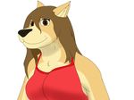  anthro breasts brown_eyes brown_hair canine clothing female fur hair mammal red_shirt shirt smile tan_fur tank_top thony_dog wolf 