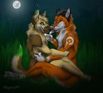  canine dog field fox german_shepherd grass kissing licking magnum_(artist) mammal moon moonlight piercing stars tongue 