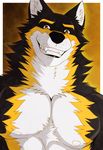  2014 aluminemsiren anthro black_fur canine clef clefwolf fur handsome looking_at_viewer male mammal muscles pecs plain_background smile white_fur wolf yellow_fur 