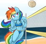  abs ambris anthro anthrofied athletic beach bikini breasts clothing equine female fit friendship_is_magic hair mammal my_little_pony net rainbow_dash_(mlp) seaside solo swimsuit volleyball wings 