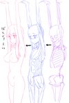  anatomy armpits arms_up bangs breasts exposed_muscle highres himura_kiseki long_hair medium_breasts multiple_monochrome navel nipples no_pussy nude original simple_background skeleton sketch standing white_background 