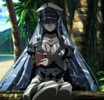  1girl akame_ga_kill! blue_eyes blue_hair book breasts esdeath esdese hat highres large_breasts long_hair sitting smile solo square_enix stitched uniform writing 