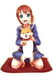  blue_eyes brown_hair dog happy_maker! kousaka_yukiho looking_at_viewer love_live! love_live!_school_idol_project open_mouth school_uniform shiba_inu shingo_(picturepuzzle) short_hair smile solo 
