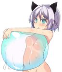  :o animal_ears aqua_eyes atahuta ball blush breast_press breasts cat_ears groin navel nipples nude out-of-frame_censoring sanya_v_litvyak short_hair silver_hair small_breasts solo strike_witches sweat transparent upper_body white_background world_witches_series 