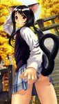  absurdres animal_ears ass autumn black_hair blush cat cat_ears cat_tail copyright_request eiwa highres leaf long_hair looking_back non-web_source parted_lips plaid plaid_skirt ponytail red_eyes school_uniform skirt solo stairs sweater_vest tail torii 