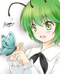  :d antennae artist_name blouse bug butterfly frilled_sleeves frills green_eyes green_hair insect open_mouth rasupu short_hair smile touhou wriggle_nightbug 