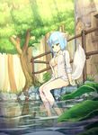  animal_ears barefoot blue_hair bottomless breasts fuji-k highres large_breasts light_rays looking_down open_clothes open_shirt original revision see-through shirt short_hair sitting sleeves_rolled_up soaking_feet solo sunbeam sunlight tail tree water wolf_ears wolf_tail 
